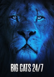 Аниме онлайн