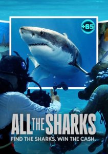 Все акулы, Сезон 1