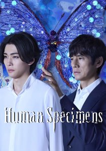 Аниме онлайн